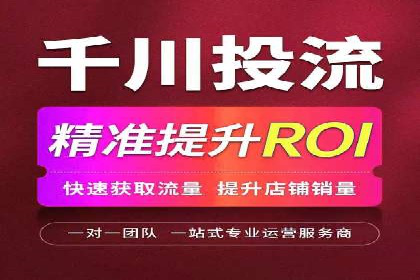 成功运用SEM服务实现品牌推广的案例分析